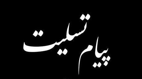 پیام تسلیت رئیس سازمان داوطلبان در پی درگذشت "پدر سالار عقیلی"