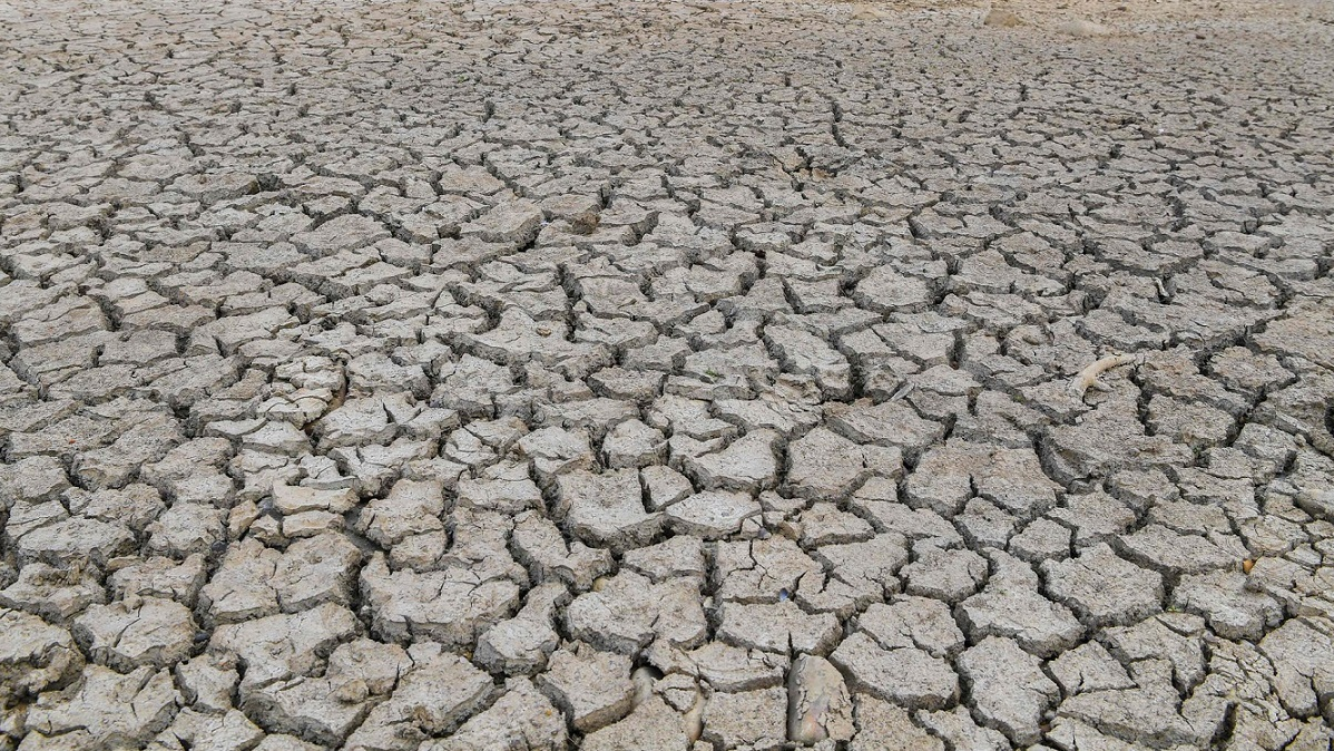 کمک 850 هزار دلاری به ایران در راستای مقابله با خشکسالی/ اعزام تیم‌های روانپزشکی به مناطق درگیر با خشکسالی