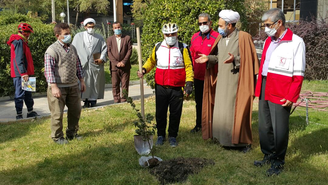 کاشت نهال به یاد شهدای مدافع سلامت در ساختمان صلح هلال احمر خراسان رضوی 