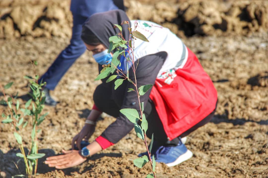 مشارکت جوانان گلستانی در پویش ایران سبز