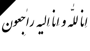  پیام تسلیت کارکنان و مدیران هلال احمر در پی درگذشت عموی بزرگوار دکتر همتی
