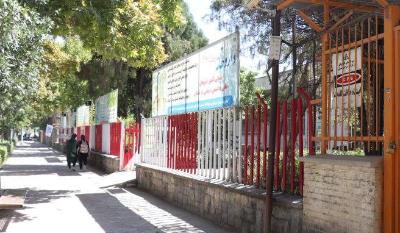 یازده سال پیگیری مداوم به ثمر نشست