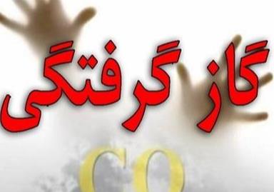 نجات جان یک زن باردار و یک خانواده ۷ نفره در کردستان