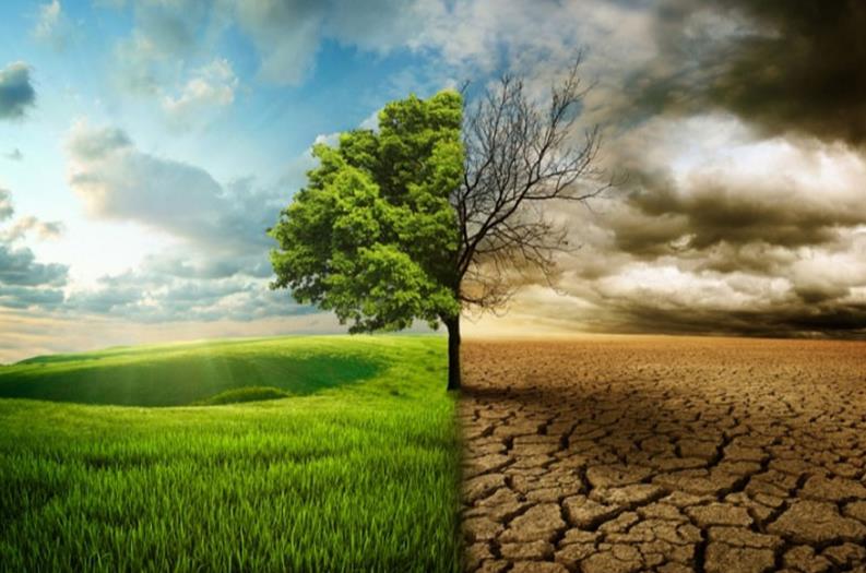 آغاز دومین دوره آموزش مواجهه با تغییرات اقلیمی هلال احمر