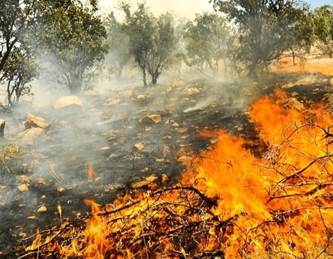 مهار آتش در مراتع ابهر با تلاش ۱۰ ساعته امدادگران