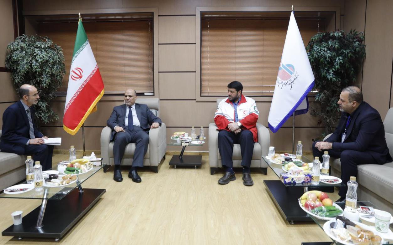 دیدار رئیس جمعیت هلالاحمر با سفرای حاضر در کنگره بینالمللی سلامت در اربعین