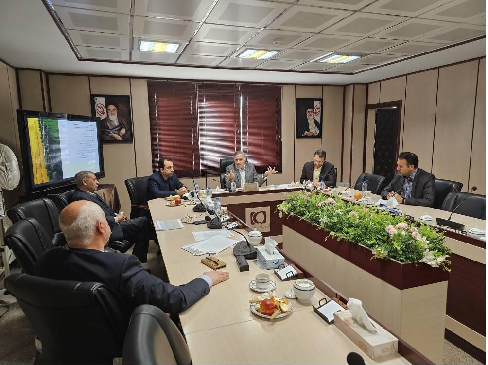 برنامهریزی برای ایجاد بازارهای صادراتی کشت و صنعت در هلدینگ هلال/ بهرهمندی از سرمایهگذاران محلی برای توسعه صنعت دامپروری