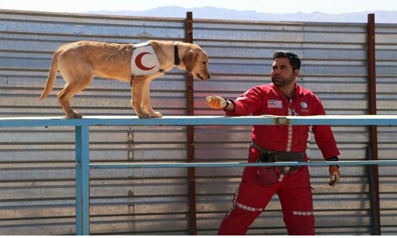 برگزاری دوره توانافزایی مراکز آنست شمالغرب کشور