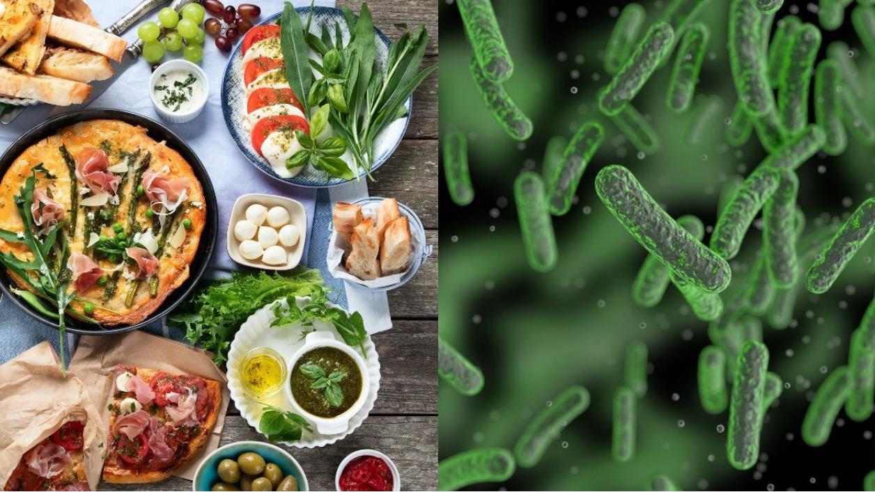 روز جهانی ایمنی مواد غذایی/ از چالش‌ها تا راه‌حل‌ها؛ غذای سالم و ایمن برای همه، در همه‌جا
